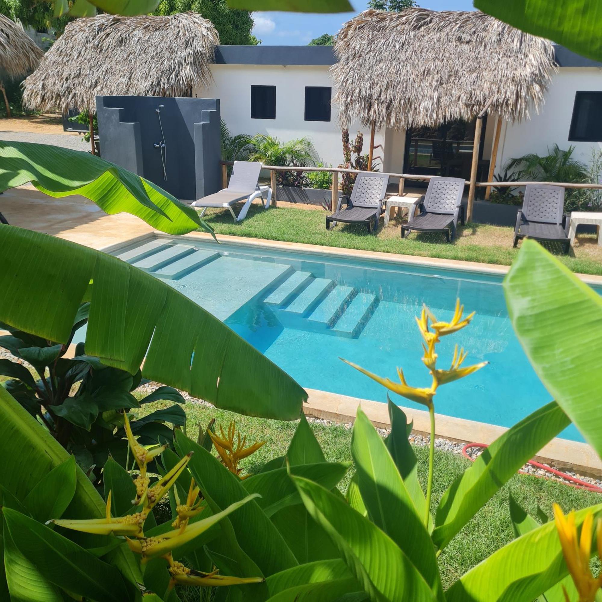 Bungalows Colibri Las Galeras Eksteriør bilde
