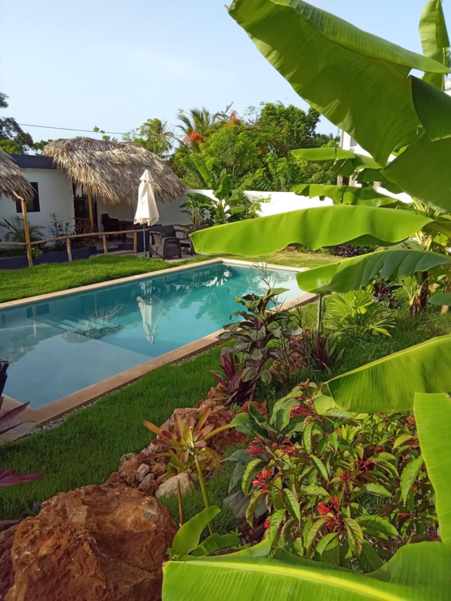 Bungalows Colibri Las Galeras Eksteriør bilde