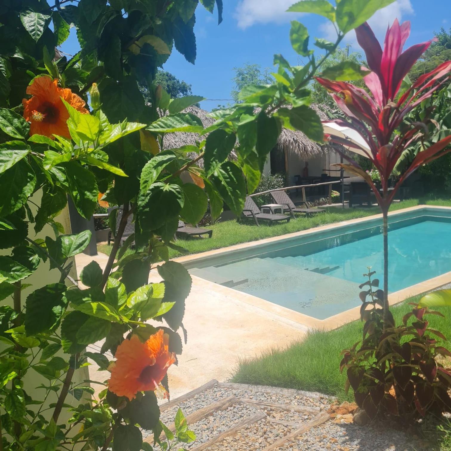 Bungalows Colibri Las Galeras Eksteriør bilde