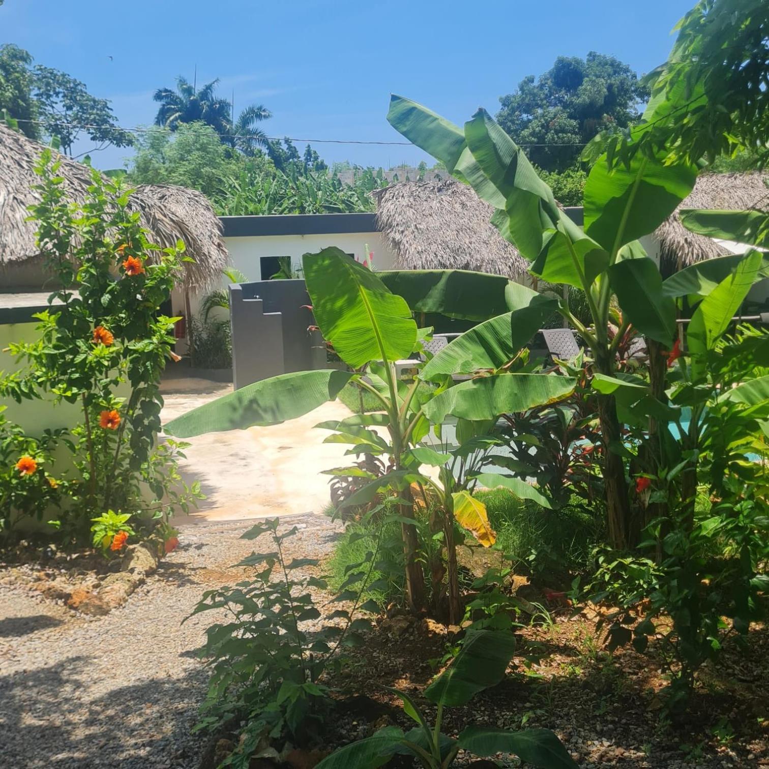 Bungalows Colibri Las Galeras Eksteriør bilde