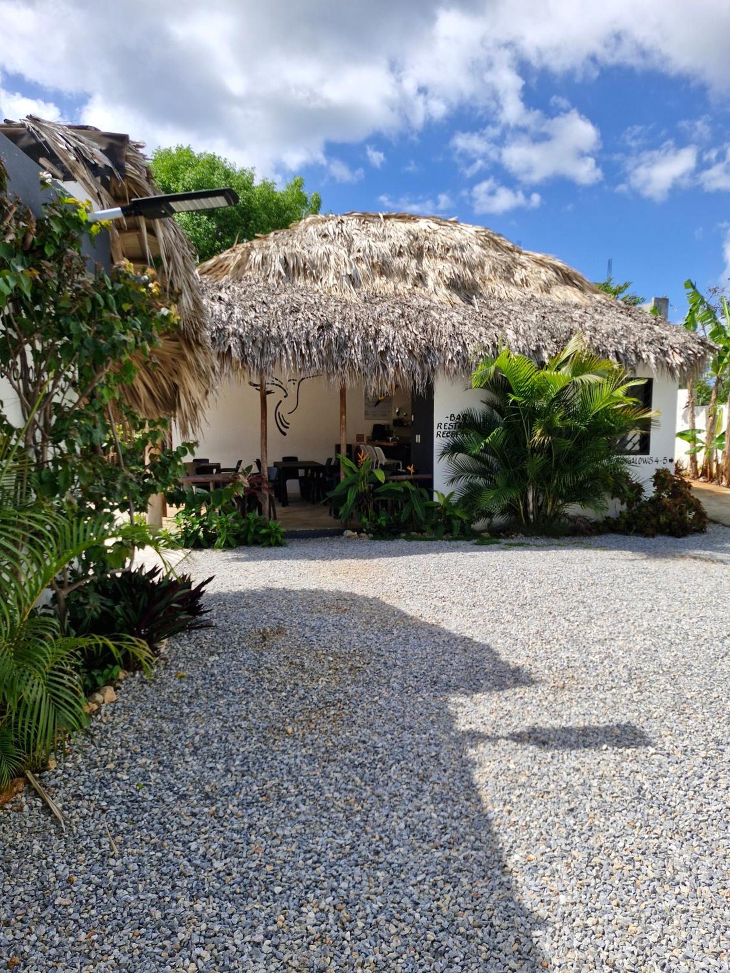 Bungalows Colibri Las Galeras Eksteriør bilde